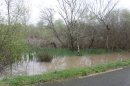 Marais
